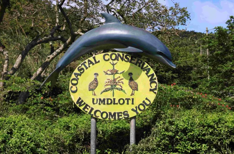 dolphin sculpture arching over Umdloti Coastal Conservancy welcome sign surrounded by lush greenery