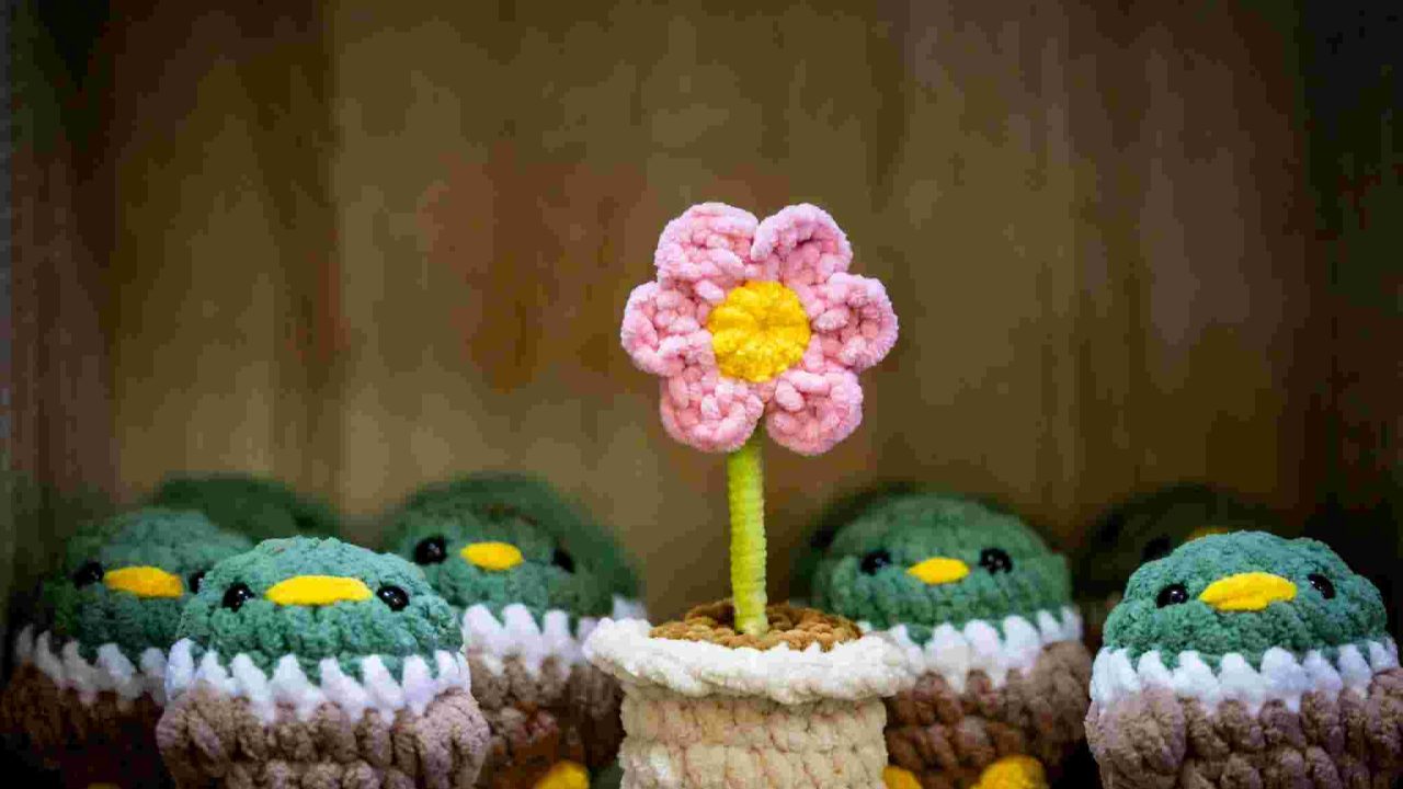 East Coast Radio House + Garden Show 2026