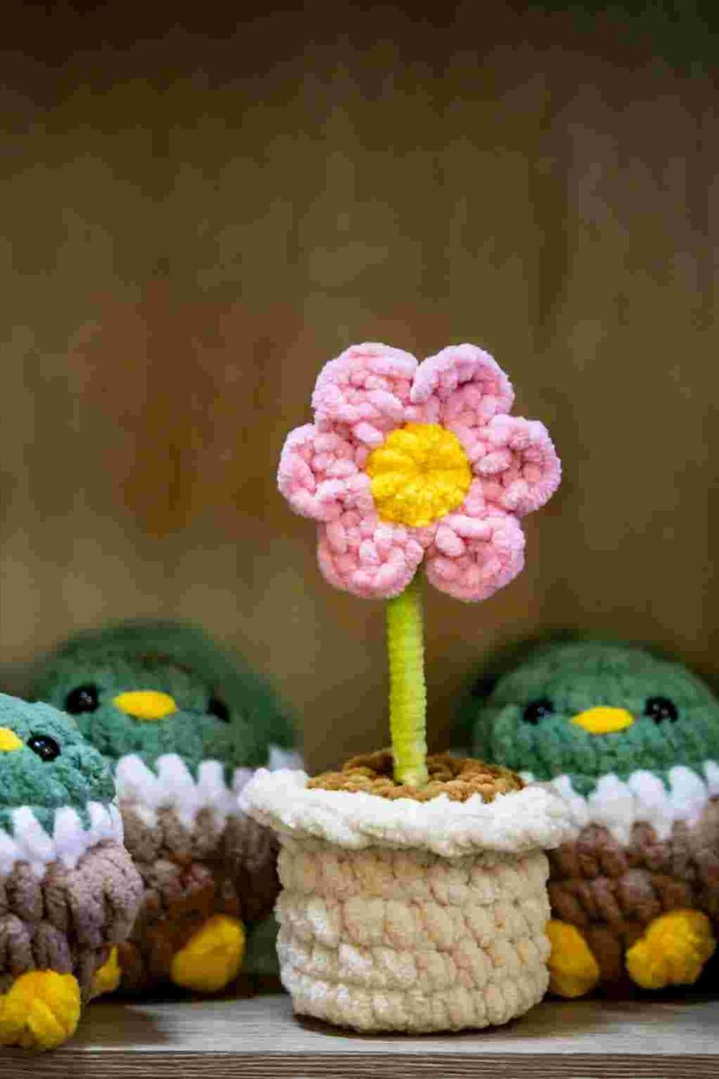 East Coast Radio House + Garden Show 2026