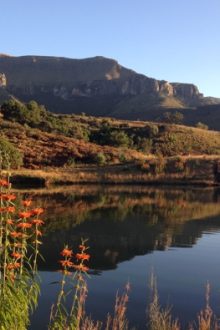 The Cavern Chronicles