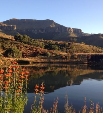 The Cavern Chronicles