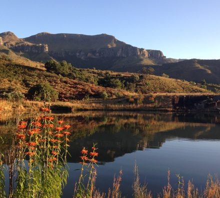 The Cavern Chronicles